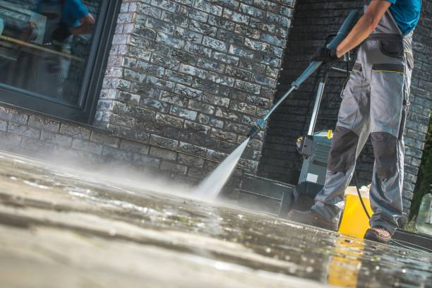 Best Boat and Dock Cleaning  in Ashville, AL