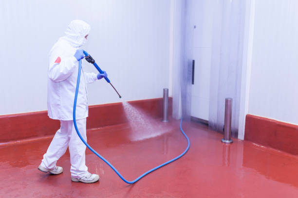 Best Pre-Holiday Cleaning  in Ashville, AL
