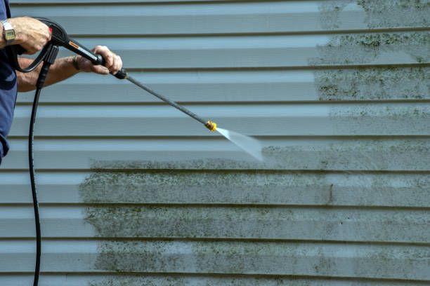 Best Roof Washing  in Ashville, AL